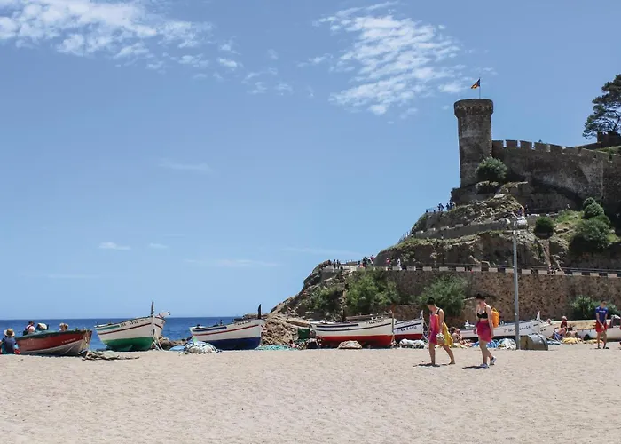 Pet Friendly In Appartement *