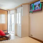 Pet Friendly In *